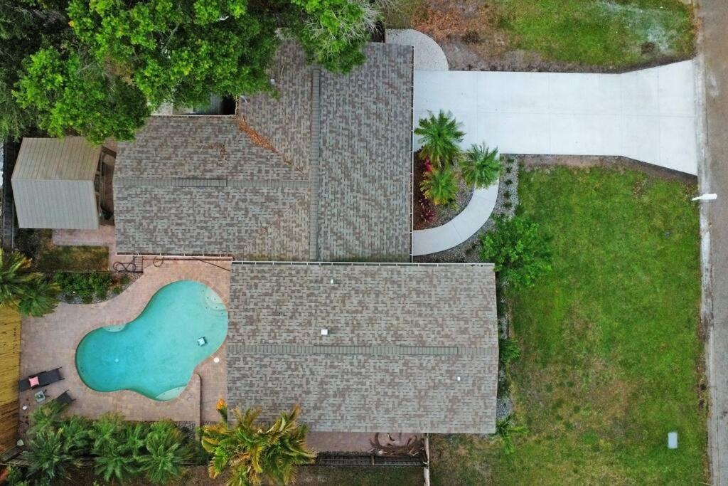 Palm Tree Paradise Tampa Pool Home Экстерьер фото